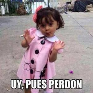 Meet your Posher, Fefin